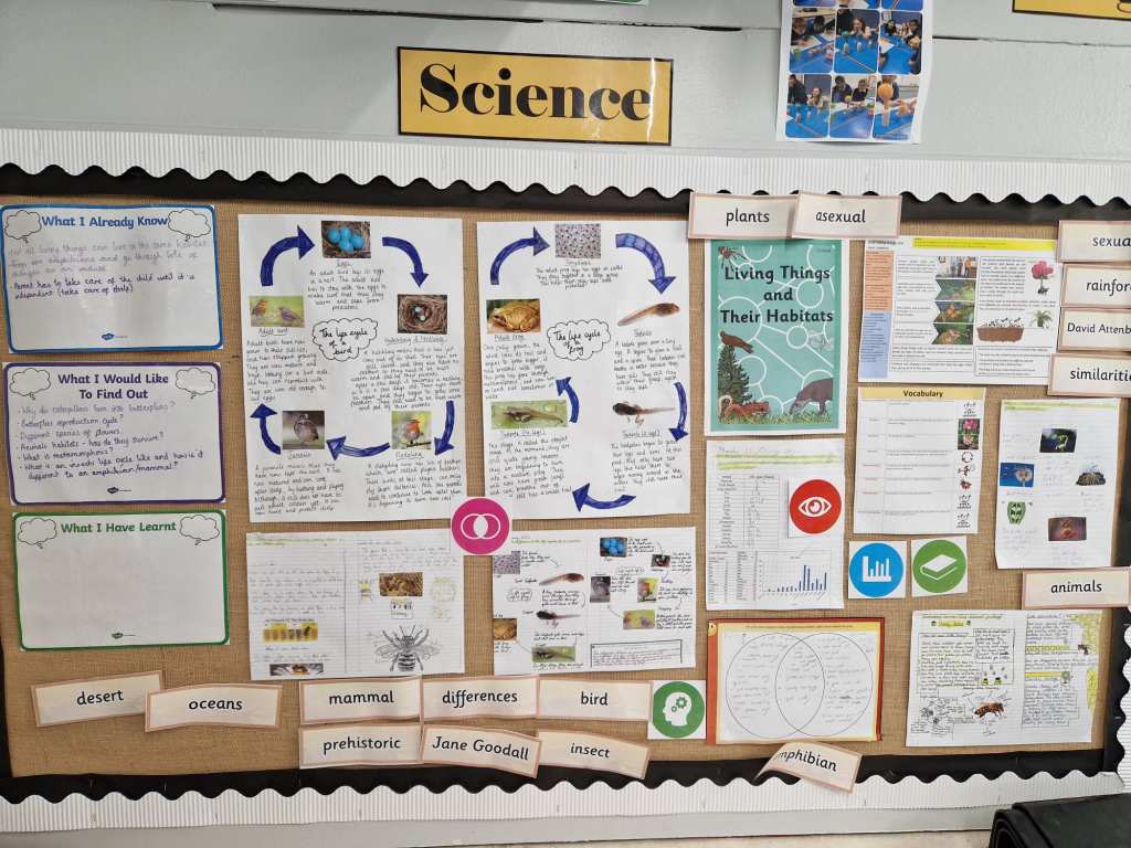 Mead Science Science – Willowbrook Mead Primary Academy | TMET Leicester MAT